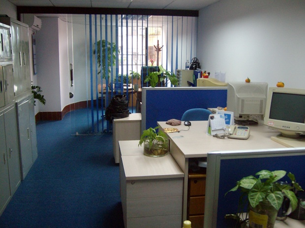 公司与办公室风水植物
