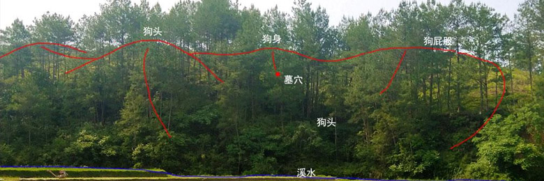 陈益峰：眠犬形，明朝代国师廖文政墓地
