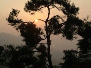 南怀瑾《易经杂说》