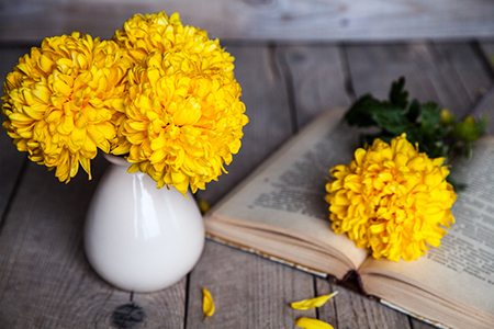 财务室装修风水秘诀(图1)