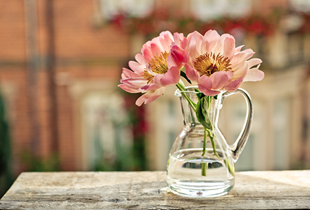 鸡年阻碍你升职加薪的风水(图1)