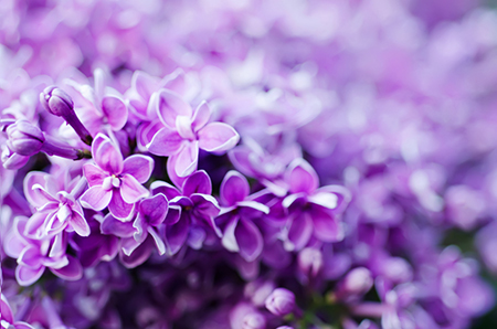 新年如何利用风水旺事业(图1)
