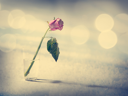 办公桌上物品摆放风水宜忌(图1)