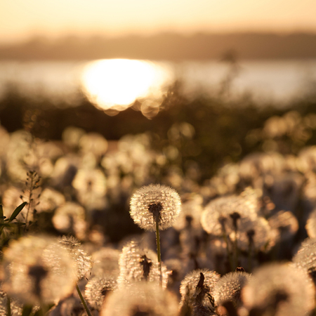 老板办公桌的放置方法？(图1)