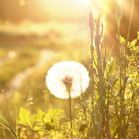 职场前规则中的风水学(图1)