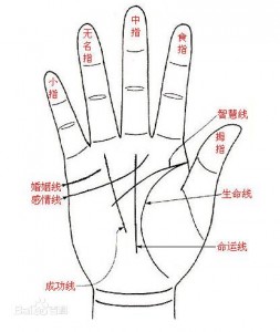 富贵手相图解大全.