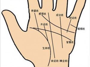 女人手相感情线图解