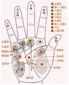 （女人）手（掌）纹的秘密及其看相算命全图解