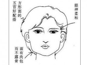 面相看旺夫相（财运或额头纹）图解