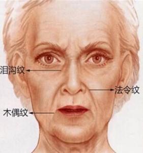 面相上，法令纹深代表什么