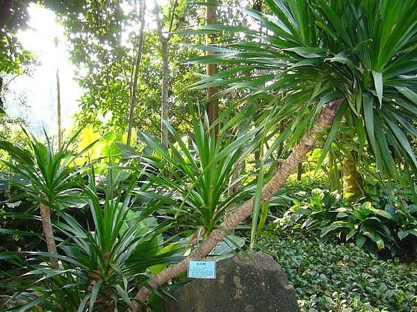 家居装饰风水与颜色搭配的黄金法则(图1) 家居装饰风水与颜色搭配的黄金法则(图1)