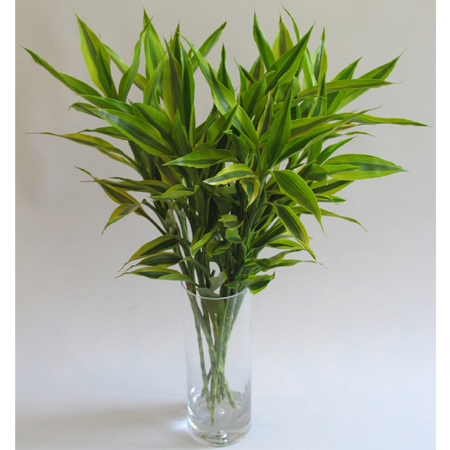 玻璃的风水禁忌(图1)