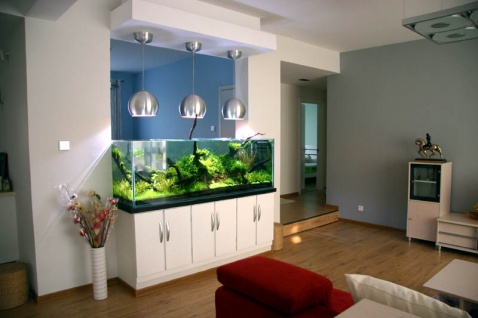 招财风水的鱼缸(图1)