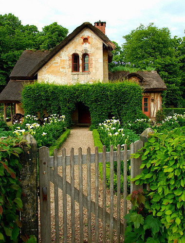室内绿化风水(图1)