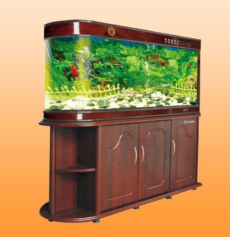 房子鱼缸风水(图1)