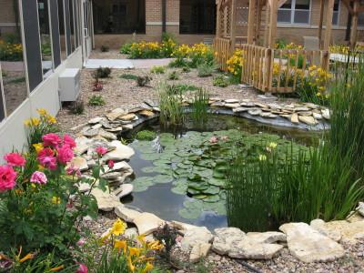 家庭鱼池在风水上有什么说法(图1) 家庭鱼池在风水上有什么说法(图1)