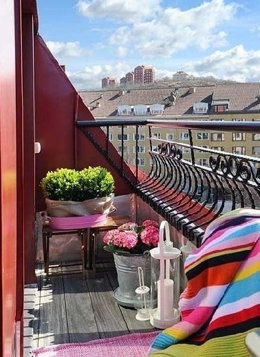 室内家居风水植物有哪些(图1)