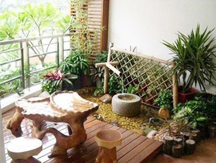 室内植物与风水的关系(图1)