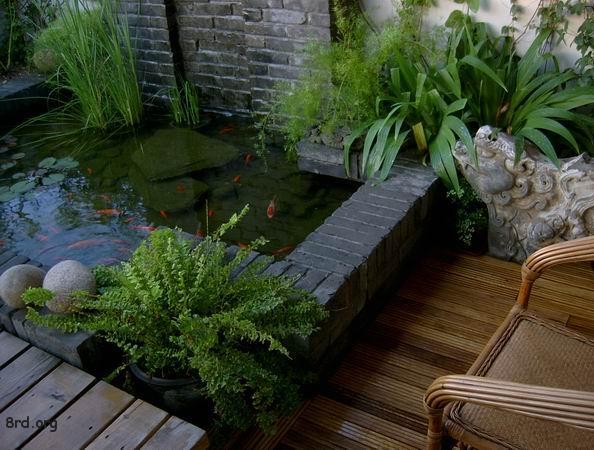 金鱼风水方位(图1) 金鱼风水方位(图1)