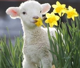 助财的风水(图1)