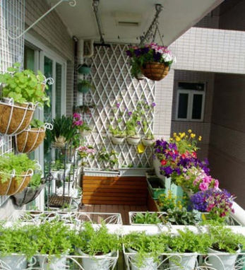 什么样的风水是好风水(图1) 什么样的风水是好风水(图1)