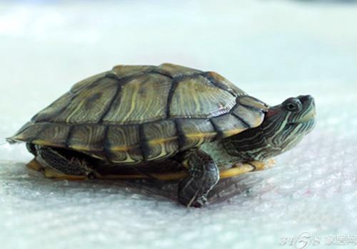 招财风水的知识(图1)