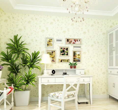 招财树风水大全(图1) 招财树风水大全(图1)