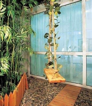 家居风水植物禁忌(图1) 家居风水植物禁忌(图1)