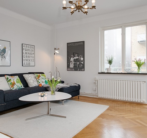 告诉你客厅风水布置小贴士(图1)