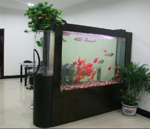 连年有余 怎样借助养鱼催旺财运(图1) 连年有余 怎样借助养鱼催旺财运(图1)