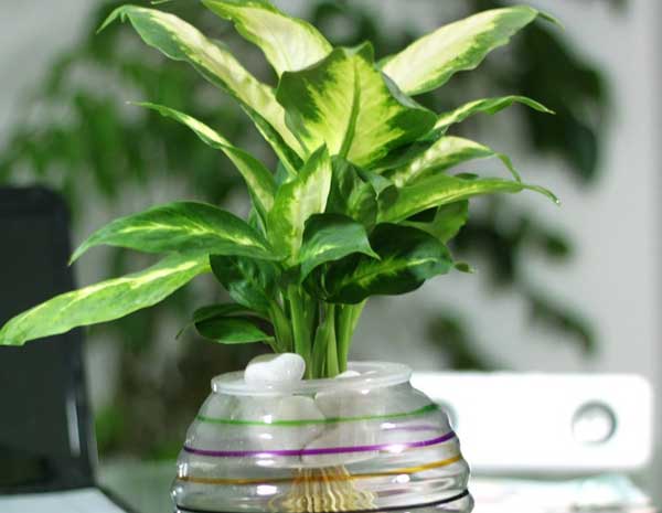 每个人都有搬家的经历 搬家的宜忌及注意事项(图1) 每个人都有搬家的经历 搬家的宜忌及注意事项(图1)