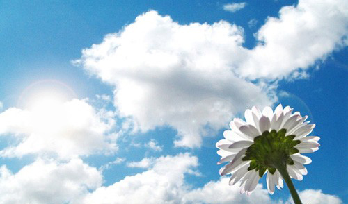 “八星”与“八方”(图1)