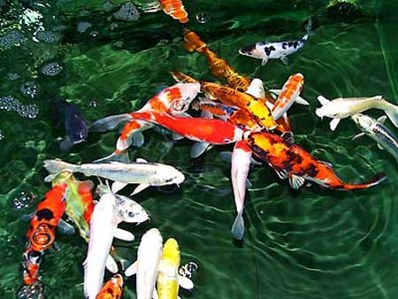 民间家居风水30则(图1) 民间家居风水30则(图1)