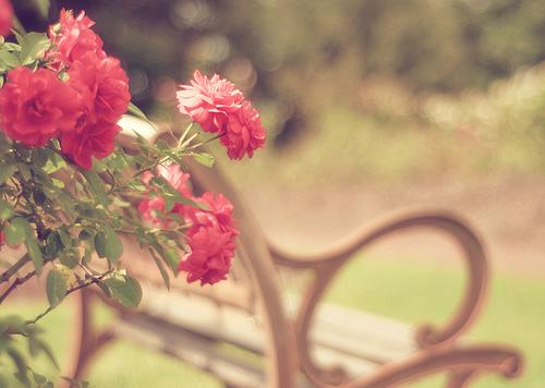 看风水数数你家有几朵“桃花”(图1)