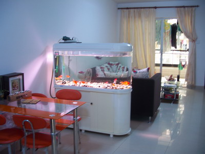 摆个鱼缸 营造家居好风水(图1)