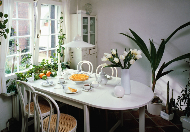 厨房植物摆放的风水知识(图1) 厨房植物摆放的风水知识(图1)