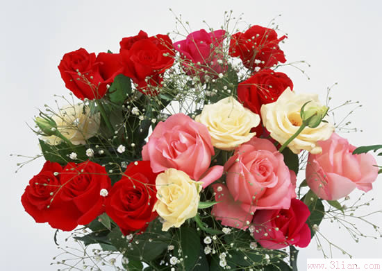 鲜花在家居风水中有啥作用 五行属木选择颜色与对应的方位风水有(图1)