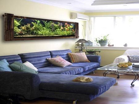 鱼缸风水位置(图1)