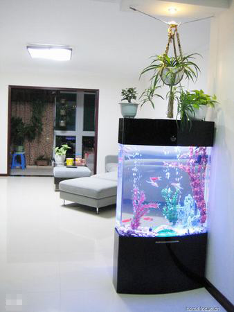 鱼缸摆放的最佳位置(图1)