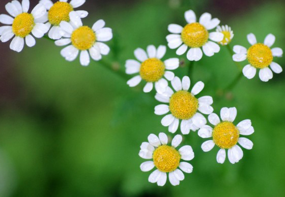 怎样旺财运(图1)