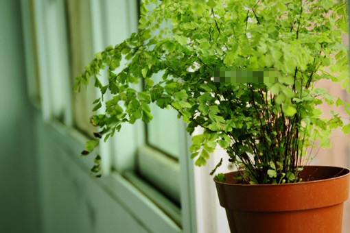 怎样寻找财位(图1)