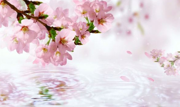 10种玄学布局(图1)