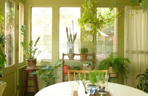 客厅沙发风水禁忌要注意 客厅沙发最忌直接对着大门(图1)