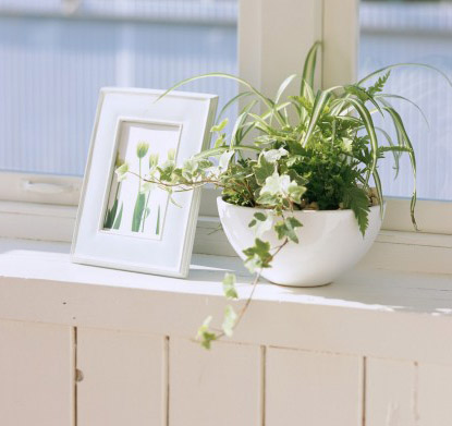 六大家居风水解密 保你一生健康(图1)