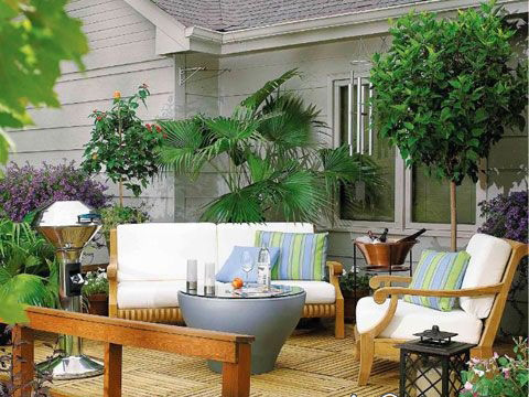 花卉与家庭风水有什么关系(图1) 花卉与家庭风水有什么关系(图1)