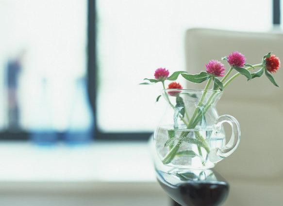 花瓶摆放的家居风水(图1)