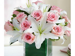 3月开什么花