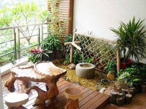如何摆放客厅风水植物来好运势