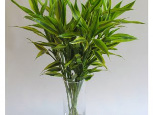 古代真实的风水故事