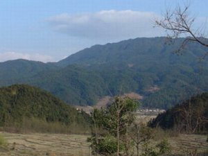 风水大师故事